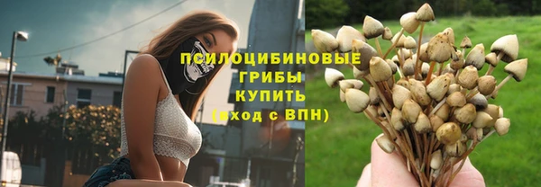 крисы Армянск
