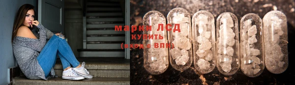 крисы Армянск