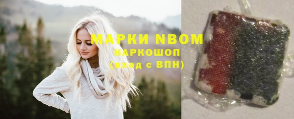 твердый Арсеньев
