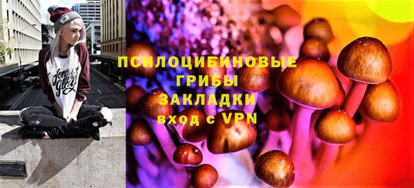соль ск Аркадак