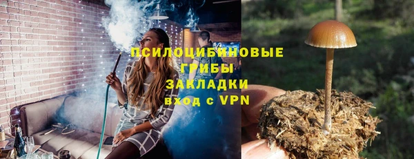 твердый Арсеньев
