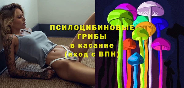 твердый Арсеньев
