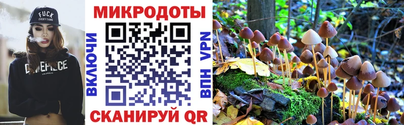 Галлюциногенные грибы мицелий Семикаракорск